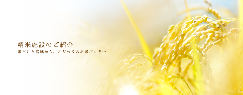 精米施設のご紹介 米どころ宮城から、こだわりのお米だけを…